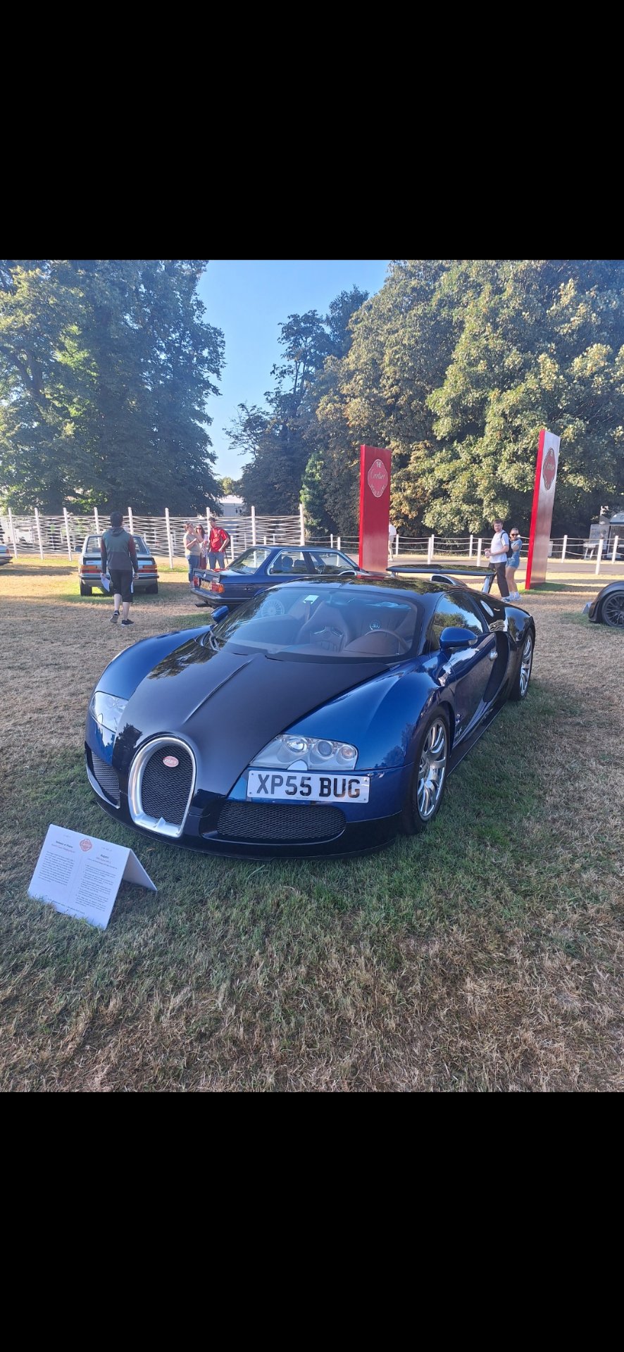 XP55 BUG spotted on Bugatti Veyron