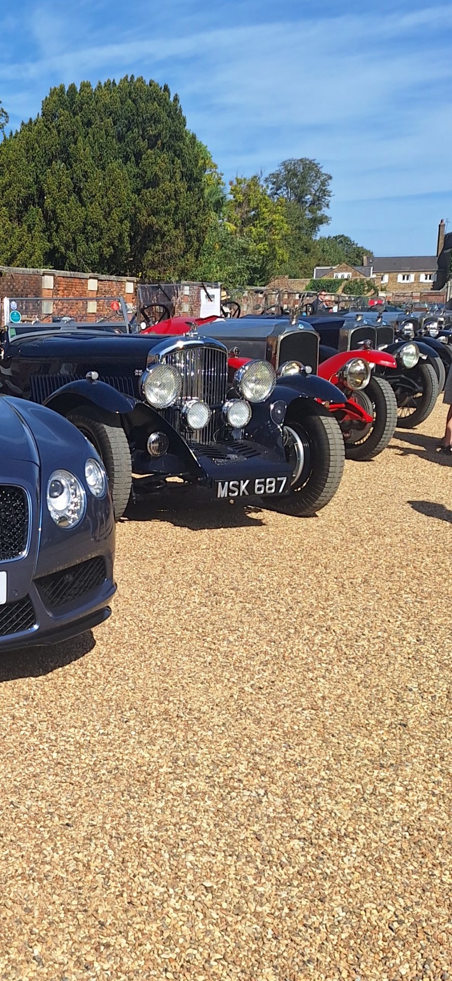 MSK 687 spotted on Bentley