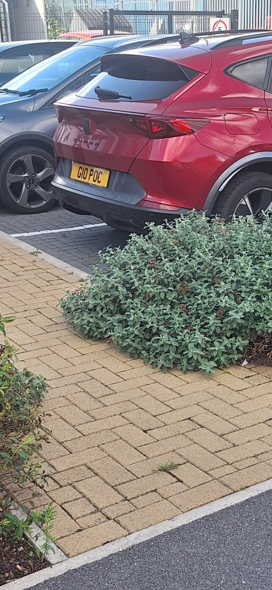 G10 POC private number plate on a Cupra