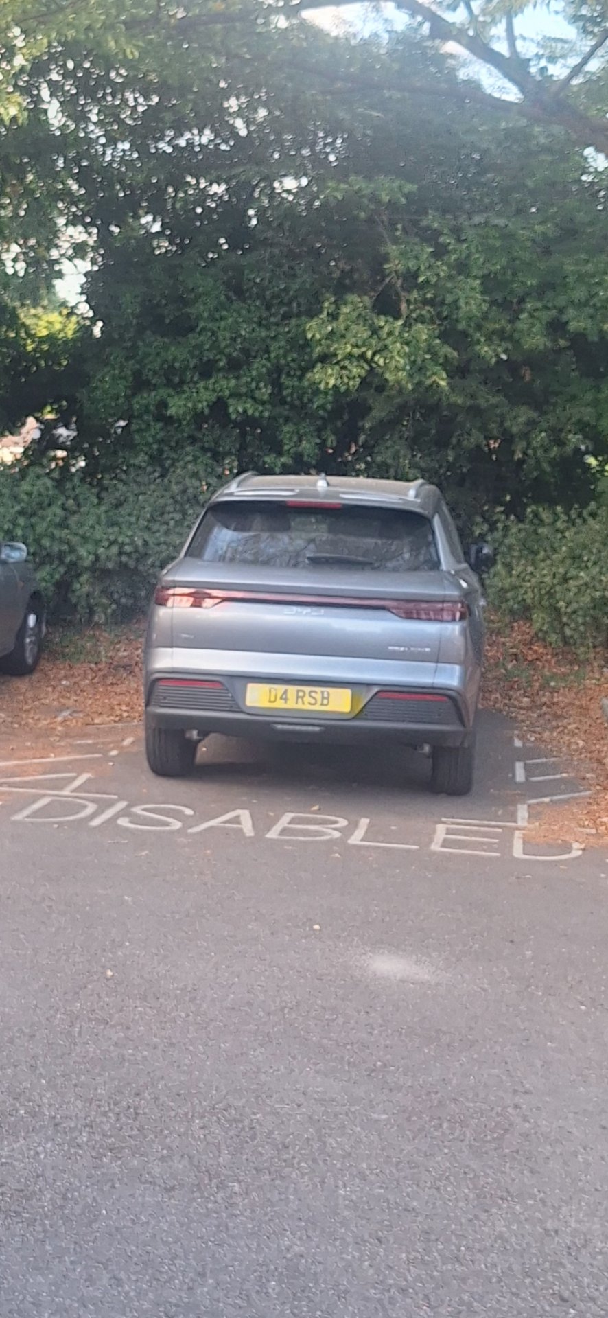 D4 RSB spotted on BYD
