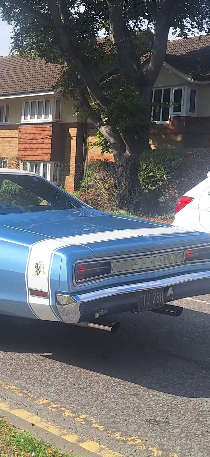 TTU 28H spotted on Dodge Super Bee