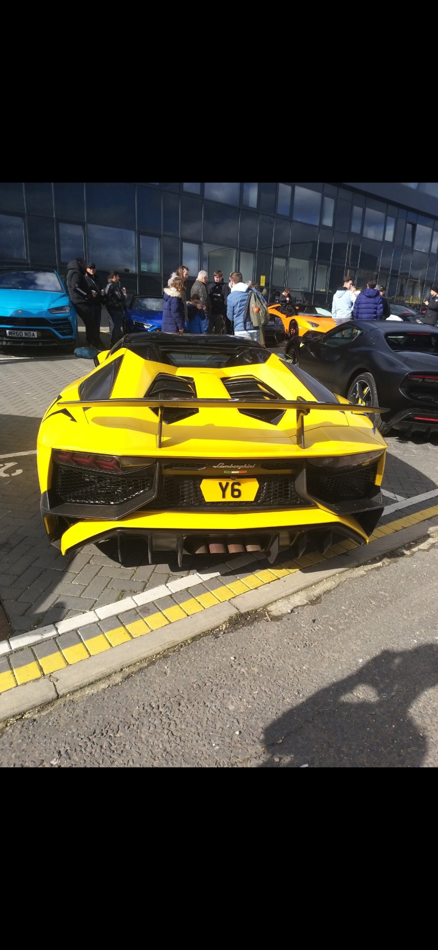 Y 6 private number plate on a Lamborghini
