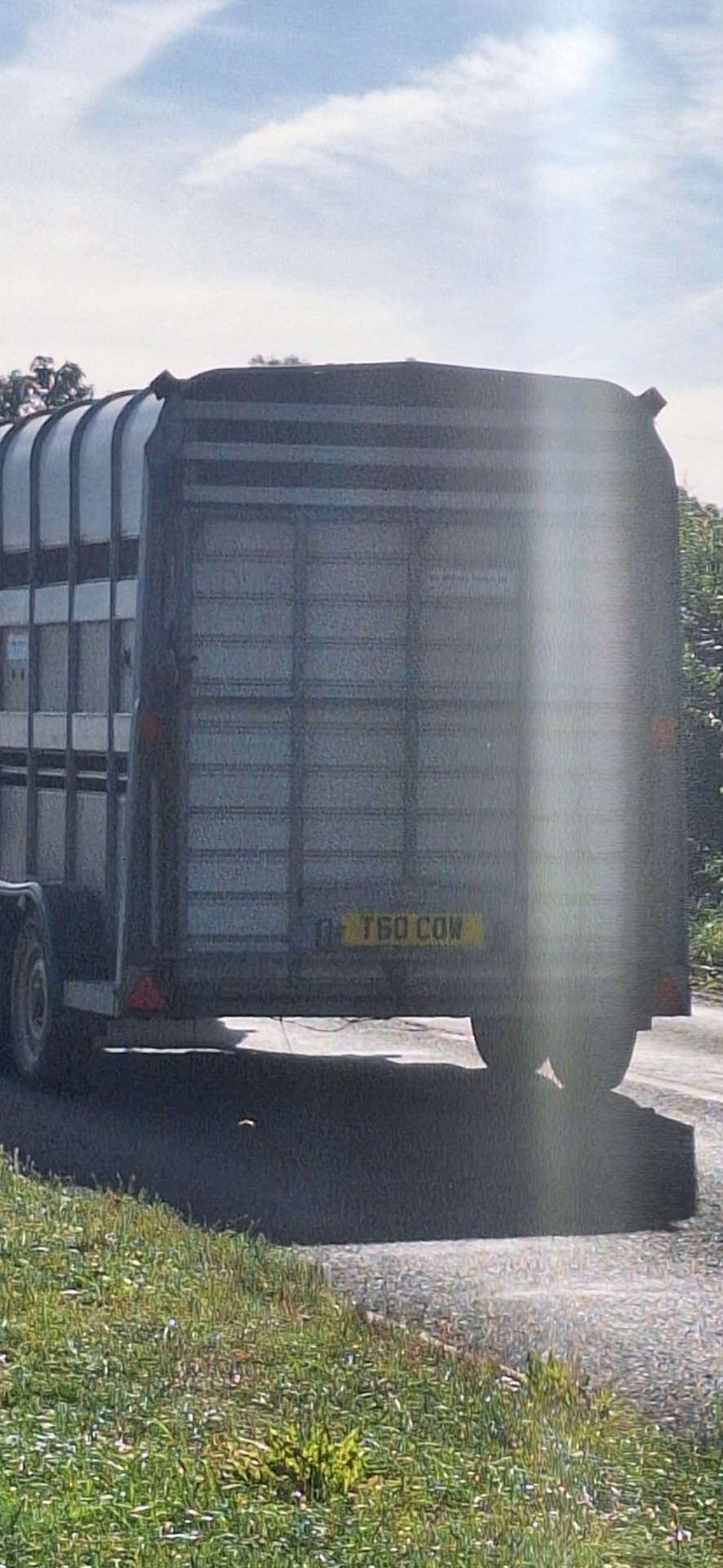 T60 COW spotted on Unknown