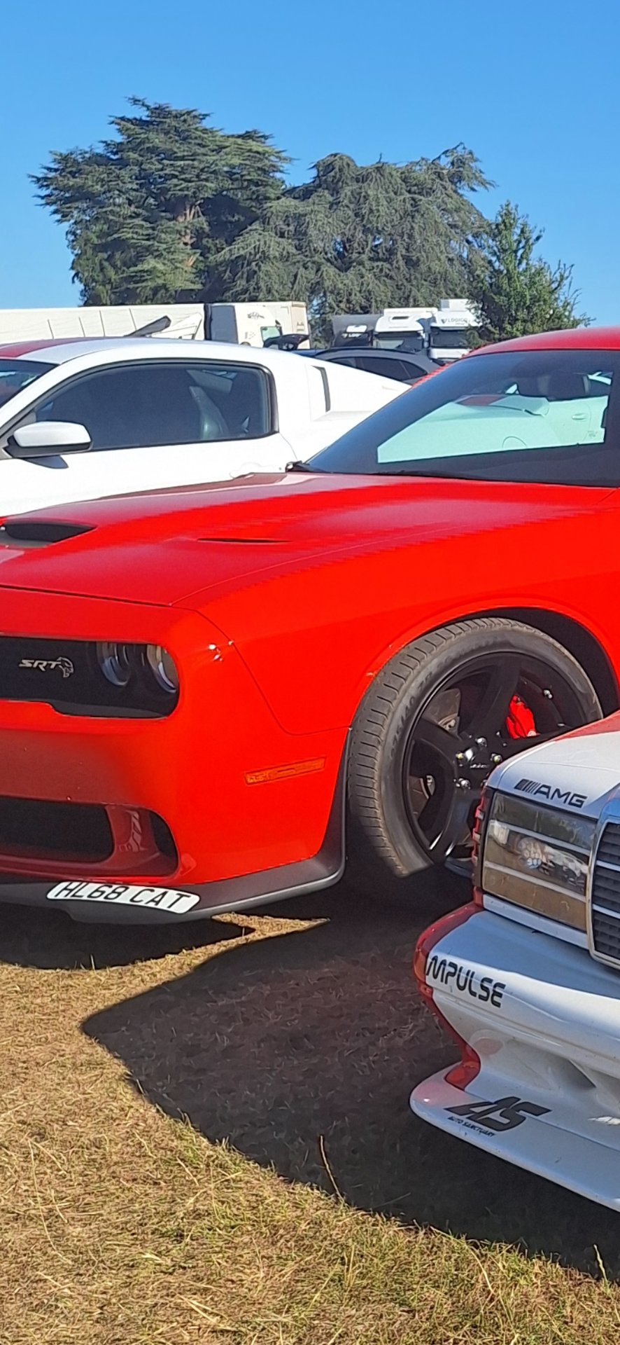 HL68 CAT spotted on Dodge Challenger