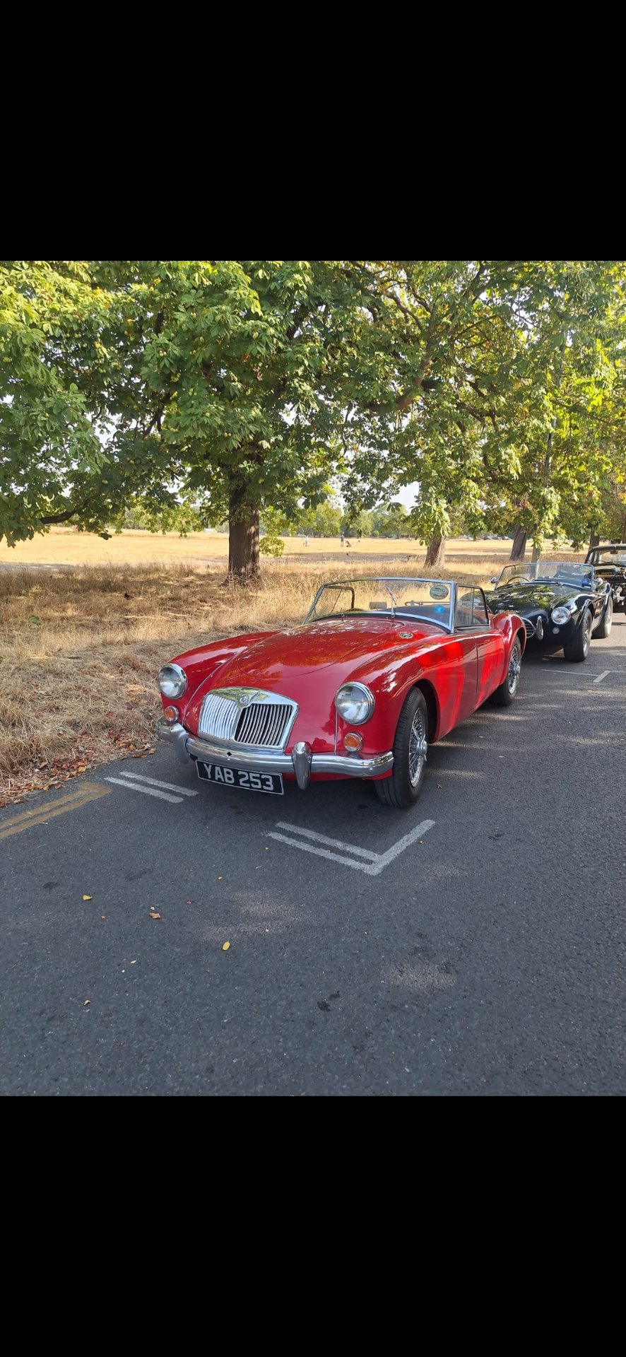YAB 253 spotted on MG