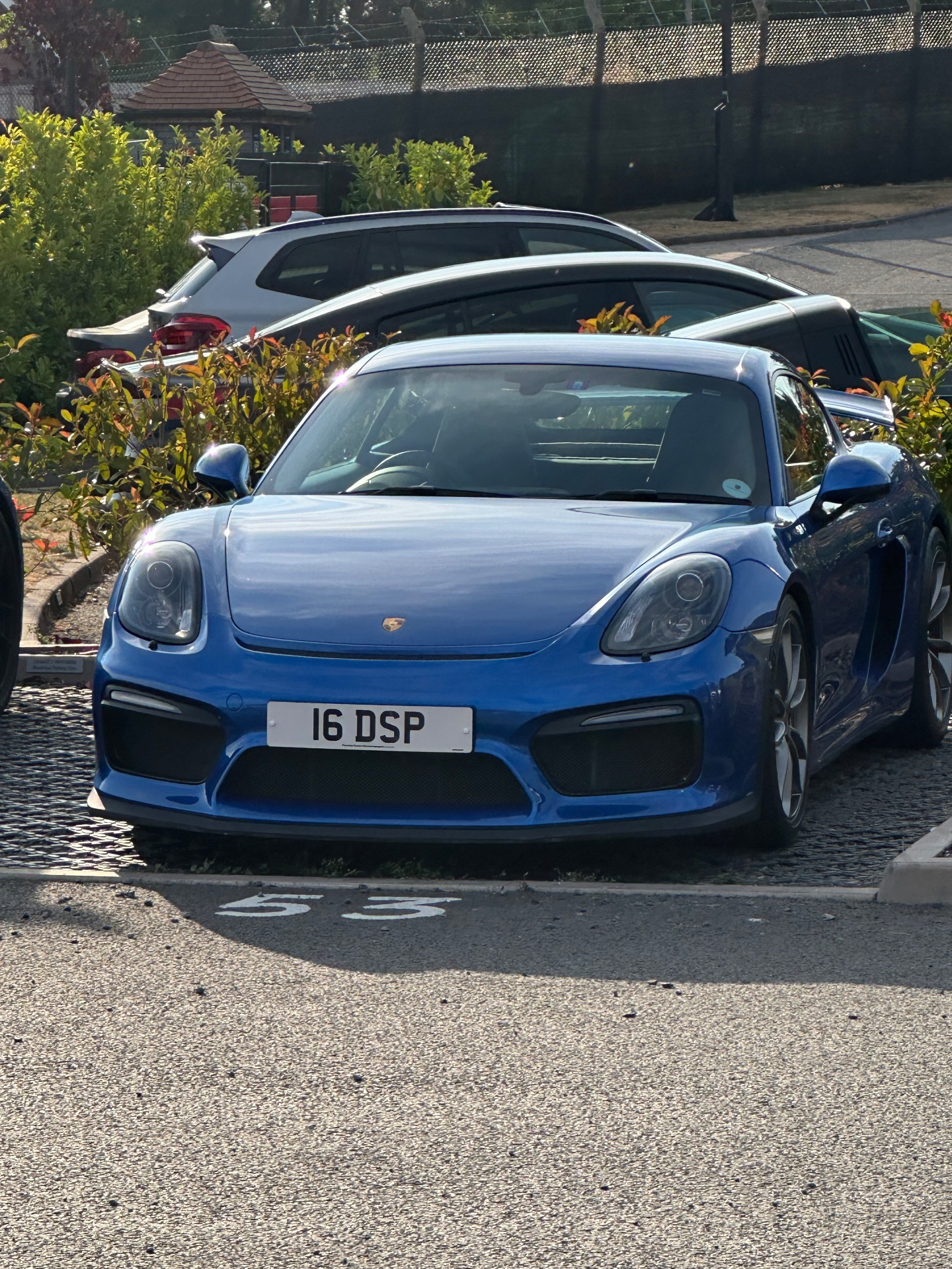 16 DSP spotted on Porsche 981 Cayman GT4