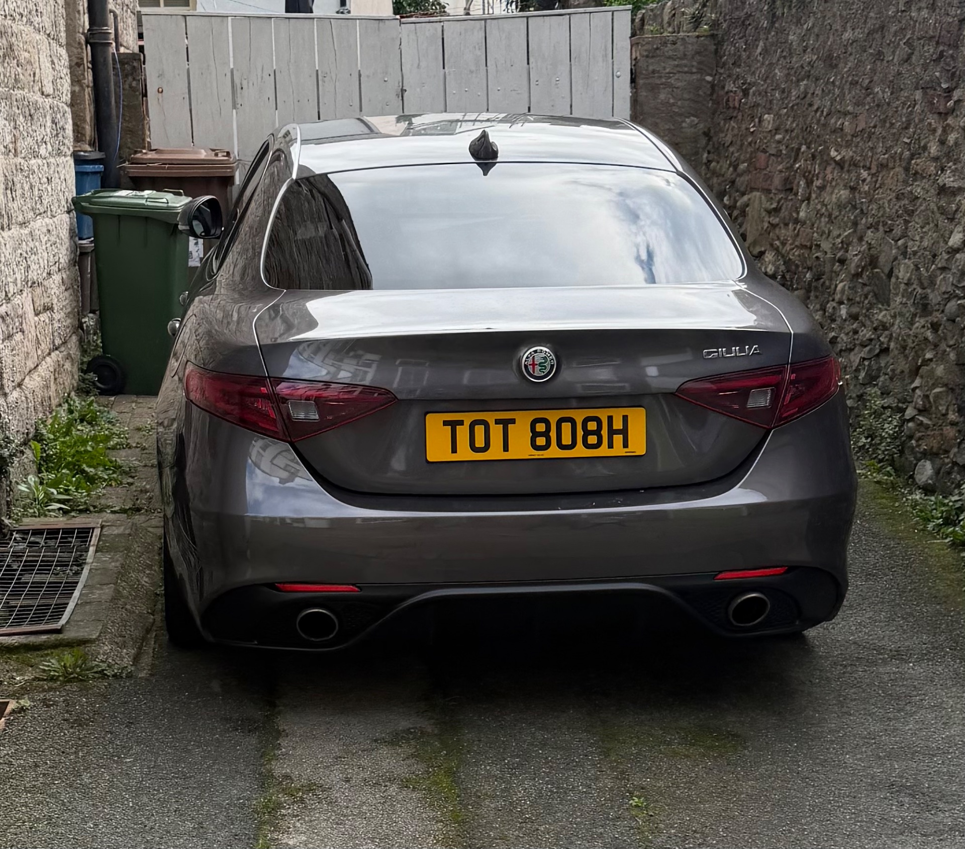 TOT 808H spotted