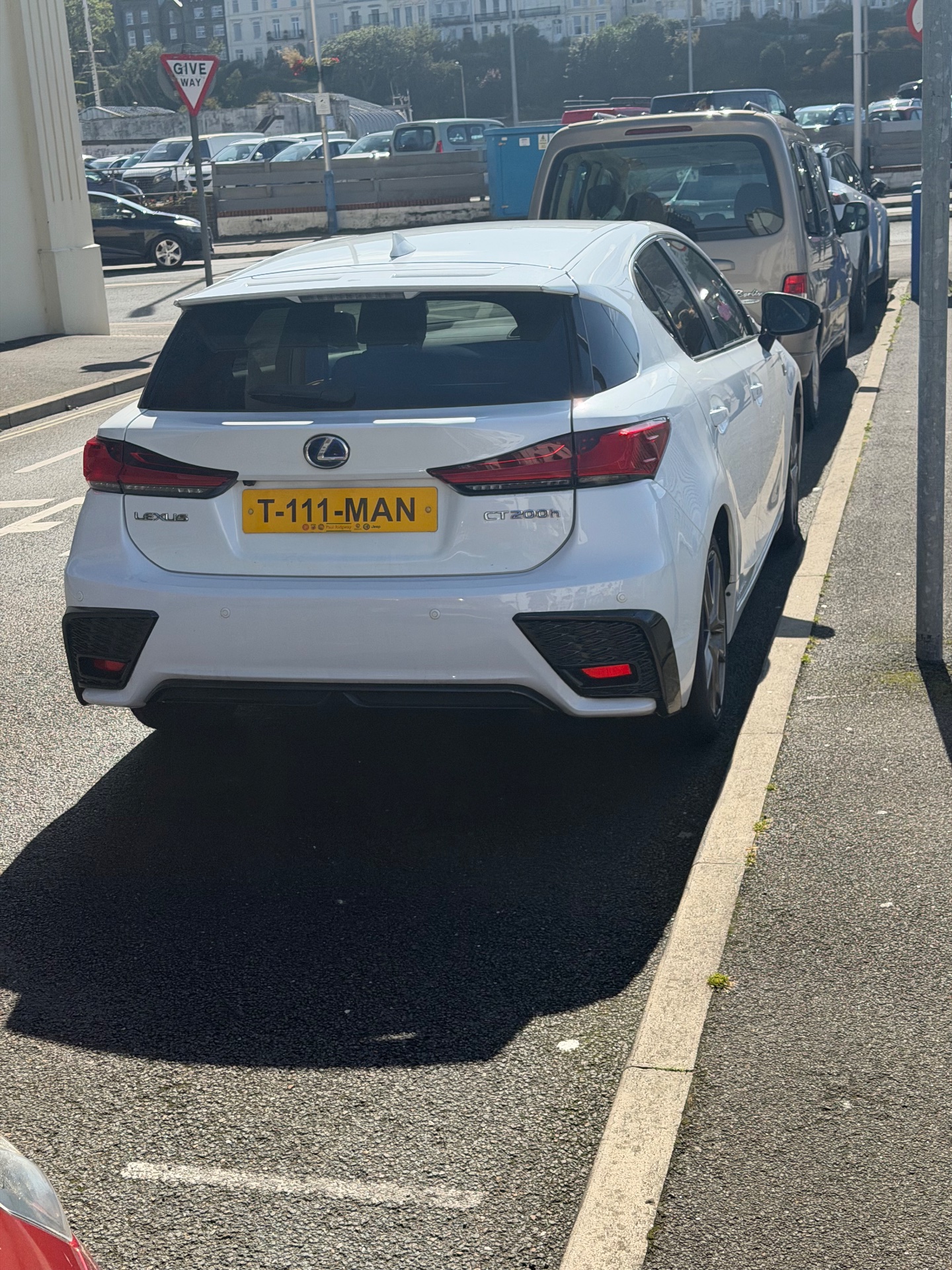 T 111 MAN spotted in Douglas