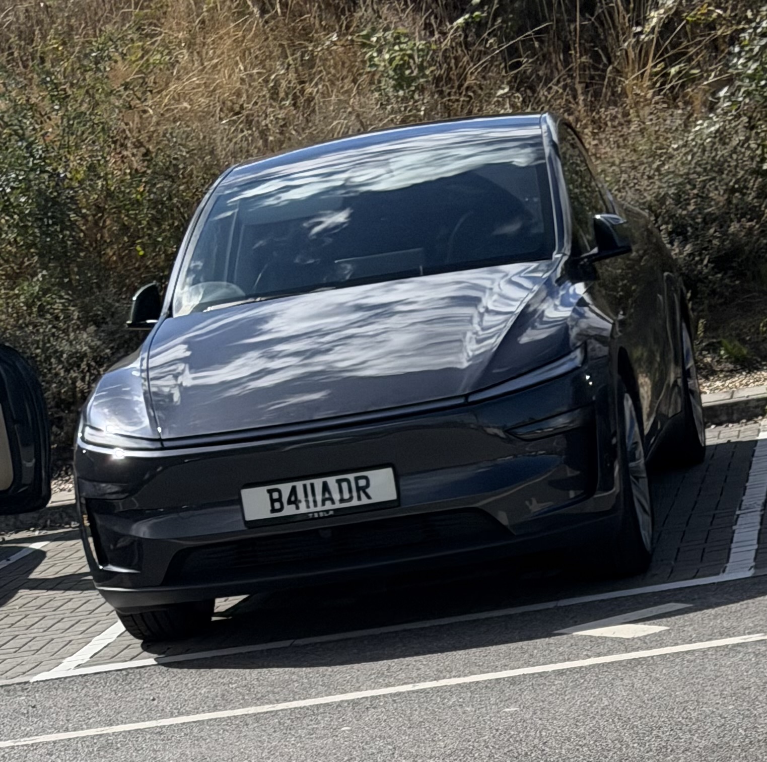B411 ADR spotted on Tesla Model Y
