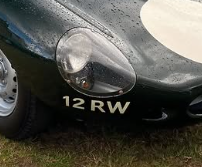 12 RW spotted on Jaguar