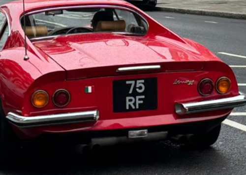 75 RF spotted